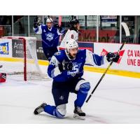 Forward Cedric Pare with the Rimouski Oceanic