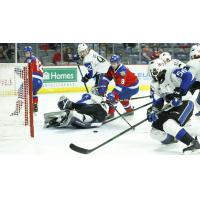 Saint John Sea Dogs try to fend off the Moncton Wildcats