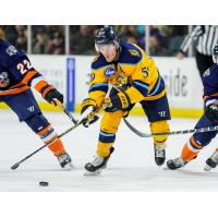 Forward Eric Neiley with the Atlanta Gladiators
