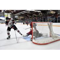 Aberdeen Wings take a shot against the Fairbanks Ice Dogs