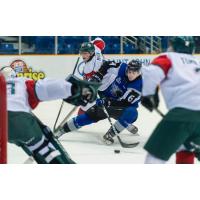 Saint John Sea Dogs centre Cam McDonald surrounded by Halifax Mooseheads