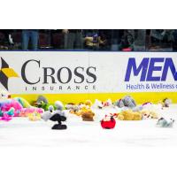 Maine Mariners Teddy Bear Toss