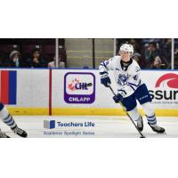 Thomas Harley of the Mississauga Steelheads