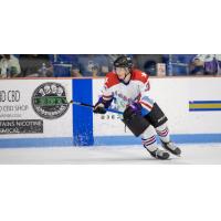 Lone Star Brahmas forward Nicholas Niemo