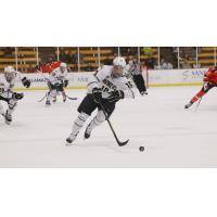 Forward Lawton Courtnall with Western Michigan University