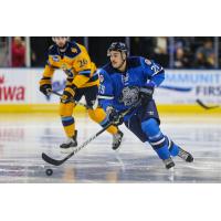 Forward Maxime Fortier with the Jacksonville IceMen