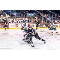 Charlottetown Islanders centre Justin Gill (18) vs. the Halifax Mooseheads