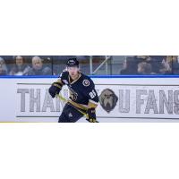 Forward Aaron Luchuk with the Newfoundland Growlers