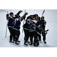 Utah Grizzlies celebrate a goal