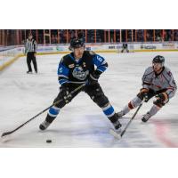 Wichita Thunder defenseman Riley Weselowski