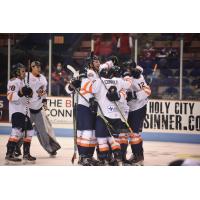 Greenville Swamp Rabbits celebrate a goal