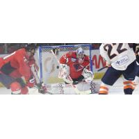 South Carolina Stingrays goaltender Hunter Shepard vs. the Greenville Swamp Rabbits