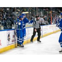 Wichita Thunder celebrate a goal