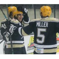 Wheeling Nailers celebrate a goal against the Indy Fuel
