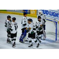 Utah Grizzlies exchange congratulations after a win