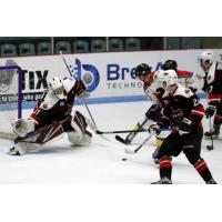Odessa Jackalopes goaltender Connor Hasley vs. the New Mexico Ice Wolves