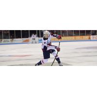 South Carolina Stingrays defenseman Will Graber