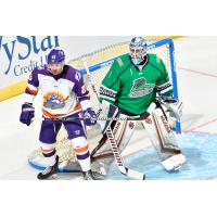 Orlando Solar Bears forward Tristin Langan vs. the Florida Everblades