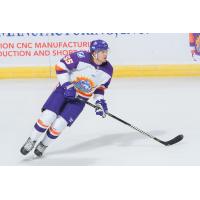 Dmitry Semykin with the Orlando Solar Bears