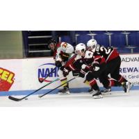 New Mexico Ice Wolves vs. the Odessa Jackalopes