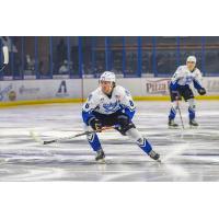 Forward Winter Wallace with the Lincoln Stars