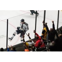 Wheeling Nailers forward Lawton Courtnall
