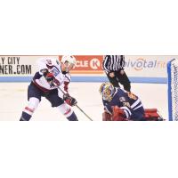 South Carolina Stingrays forward Jason Morelli vs. the Greenville Swamp Rabbits