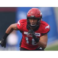 Calgary Stampeders defensive back Royce Metchie