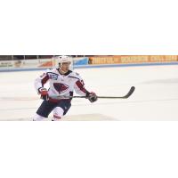 South Carolina Stingrays defenseman Max Gottlieb