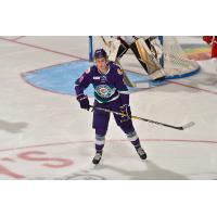 Mason Marchment with the Orlando Solar Bears during the 2016-17 season