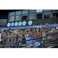 Fans enjoy a game at Pelicans Ballpark, home of the Myrtle Beach Pelicans