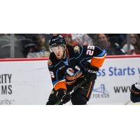Forward Chris Mueller with the San Diego Gulls