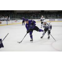Tri-City Storm forward Carter Mazur