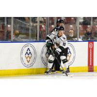Utah Grizzlies forward Matthew Boucher