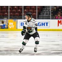 Utah Grizzlies forward Matthew Boucher