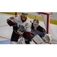 Rockford IceHogs battle the Chicago Wolves