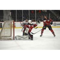 Goaltender Hayden Lavigne with the Birmingham Bulls