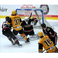 Wheeling Nailers vs. the Indy Fuel