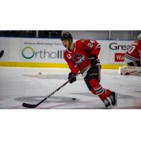 Forward Reese Johnson with the Rockford IceHogs