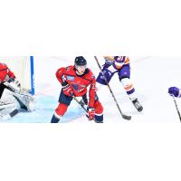 South Carolina Stingrays defenseman Paul Meyer vs. the Orlando Solar Bears