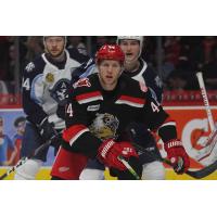 Grand Rapids Griffins defensemen Dennis Cholowski