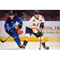 Greenville Swamp Rabbits forward Greg Meireles (right) vs. the Jacksonville IceMen