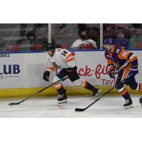 Greenville Swamp Rabbits forward Luc Brown (left) vs. the Orlando Solar Bears