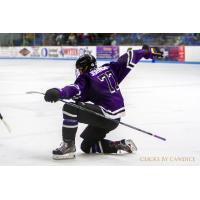 Lone Star Brahmas forward Luke Johnson