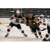 Binghamton Devils defenseman Michael Vukojevic (left)