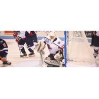 South Carolina Stingrays goaltender Jake Kupsky
