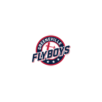 Greeneville Flyboys alternate logo