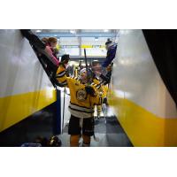 Sarnia Sting forward Sam Bitten