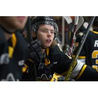 Sarnia Sting forward Sam Bitten