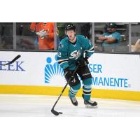 Vladislav Kotkov with the San Jose Barracuda